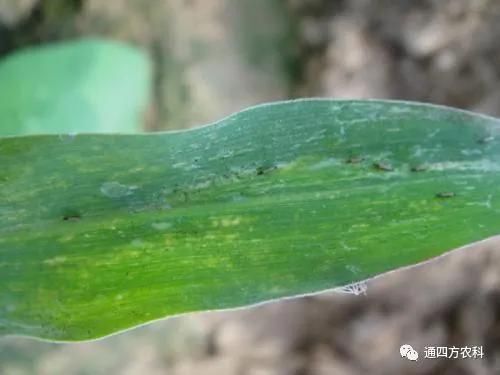 ���הQ����ô�k����ץ�o��Q��(hu��)Ӱ푮a(ch��n)��!!!