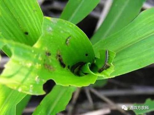 ���הQ����ô�k����ץ�o��Q��(hu��)Ӱ푮a(ch��n)��!!!