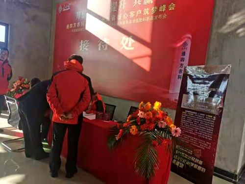 ����_������|����ʡ����